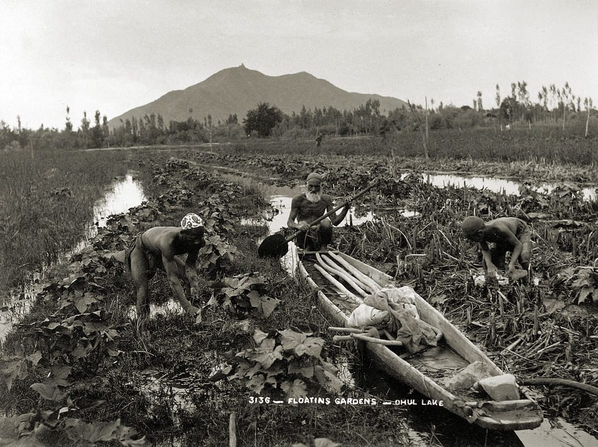 Orientalism, Kashmir and Islam — by Arsilan Aziz