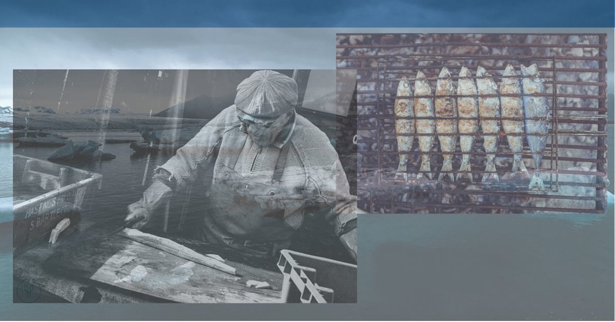 Tip Up — A Short Story by L.B. Sedlacek