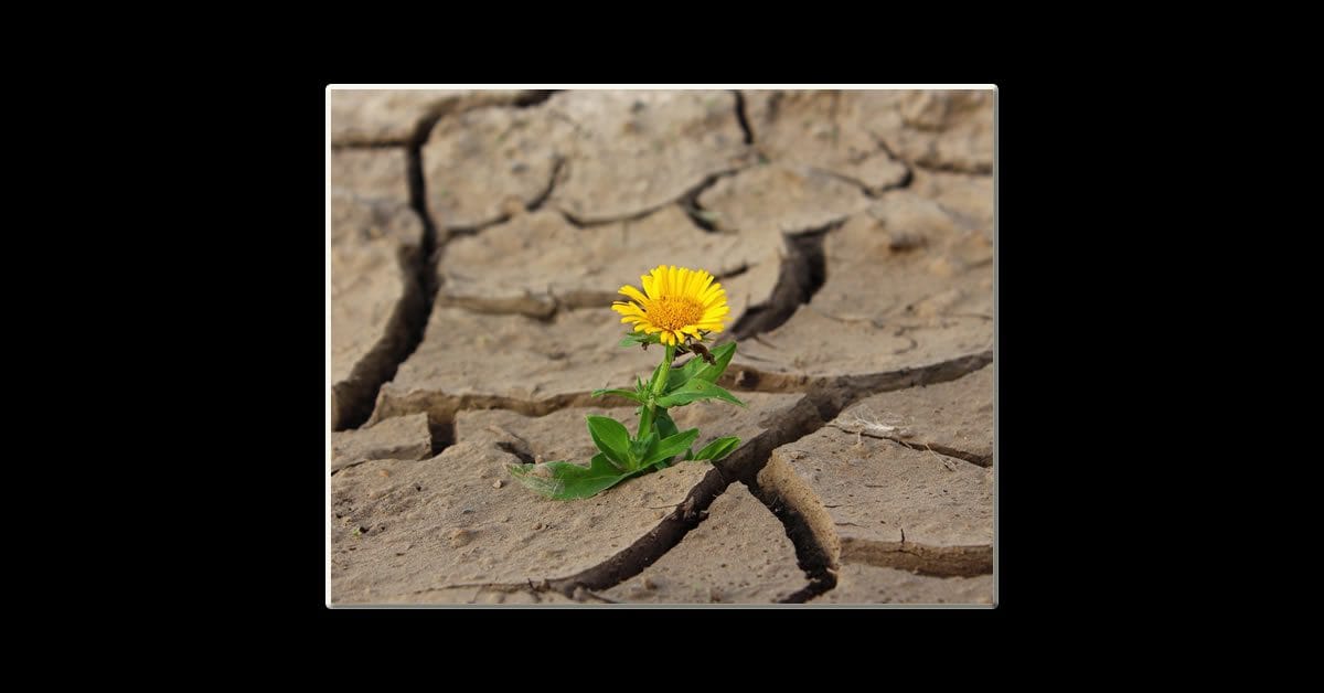 An Unconventional Poem for Easter or Quite Simply a Masterclass on How to Recite Poetry