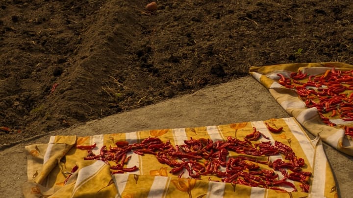 "The silence doesn’t break" — Two Poems by Kamran Bashir