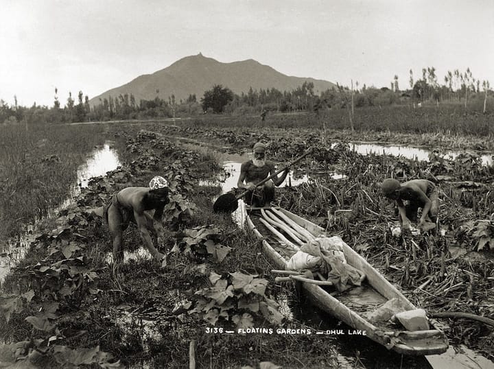 Orientalism, Kashmir and Islam — by Arsilan Aziz