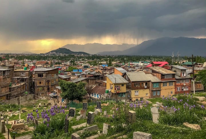 A Kashmiri 2024 in Books — Curated by Majid Maqbool