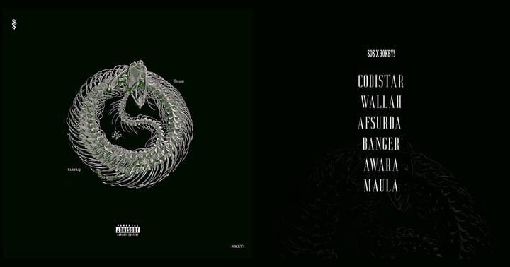 SOS (Straight Outta Srinagar), TARYAQ and a Timely Pharmakon — by Amjad Majid